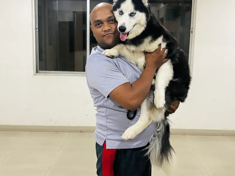 Sayantan Lodh Dog Training Academy, photo 4