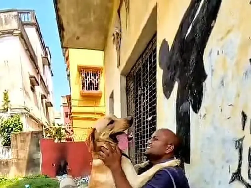 Sayantan Lodh Dog Training Academy, photo 5