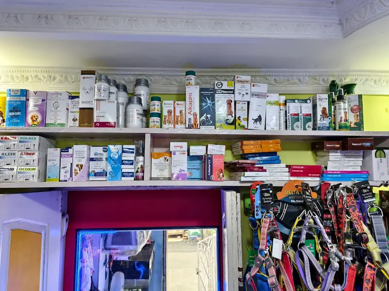 Tail & Furry Clinic, photo 5