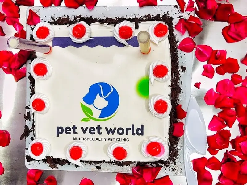 Pet Vet World, photo 5