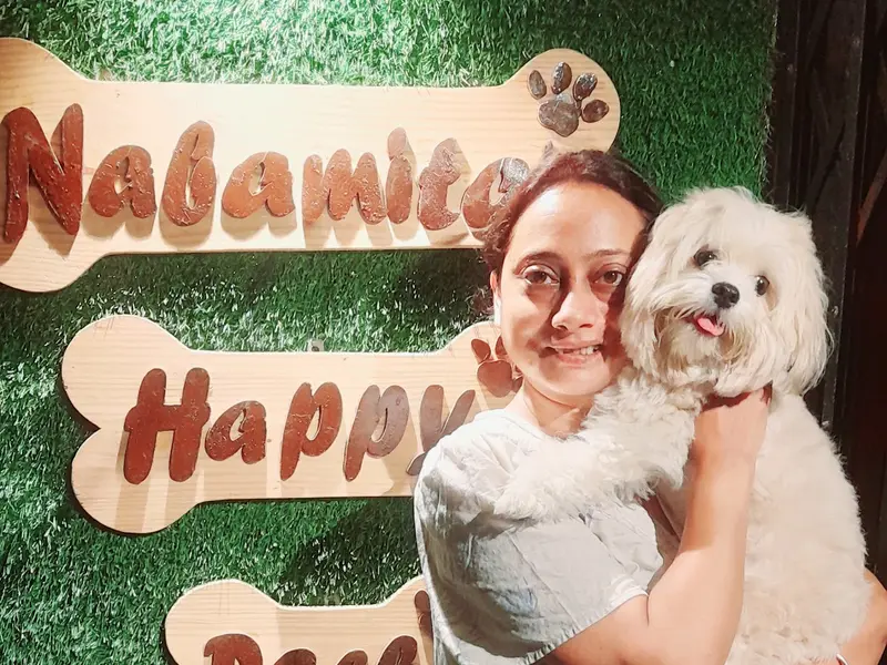 Nabamita's Happy Pack Dog Creche & Boarding Training, photo 2
