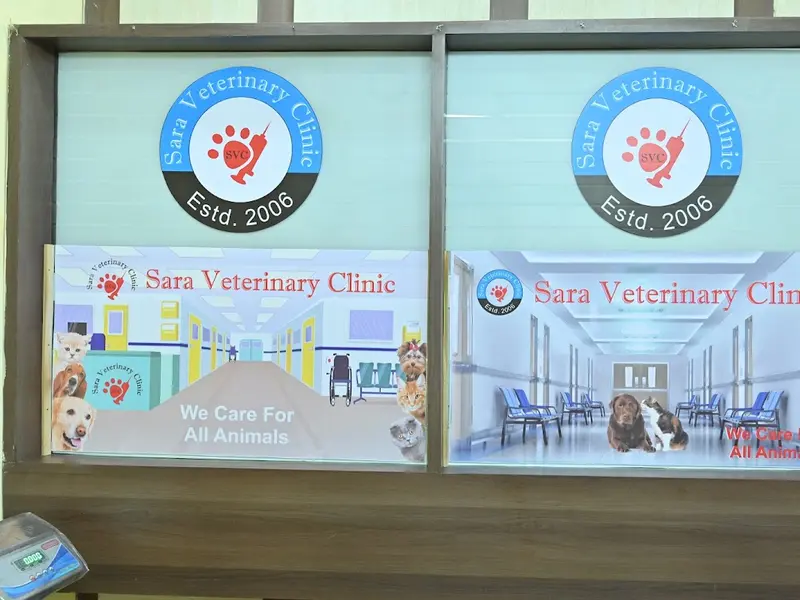 Sara veterinary Clinic, photo 2
