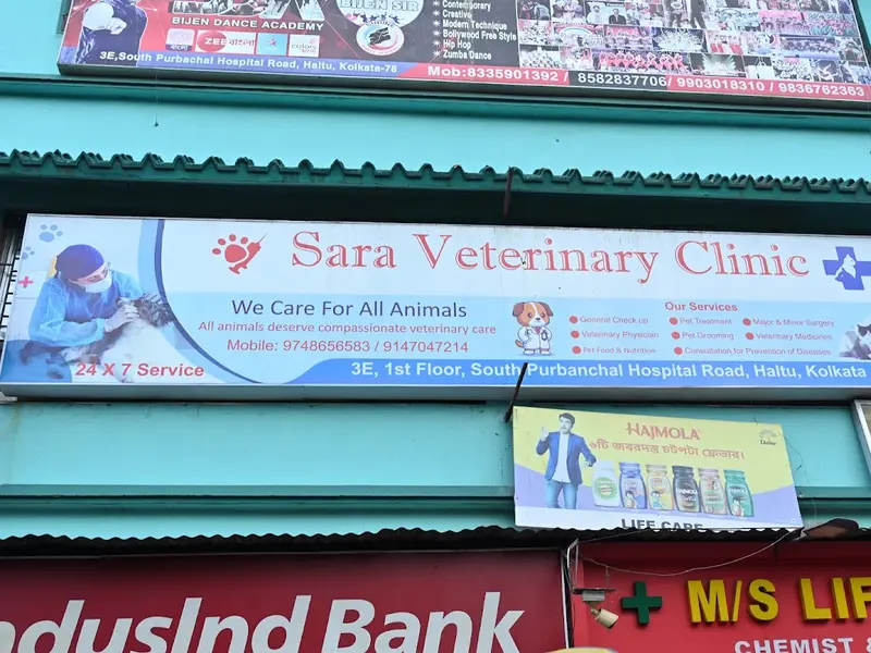 Sara veterinary Clinic, photo 3