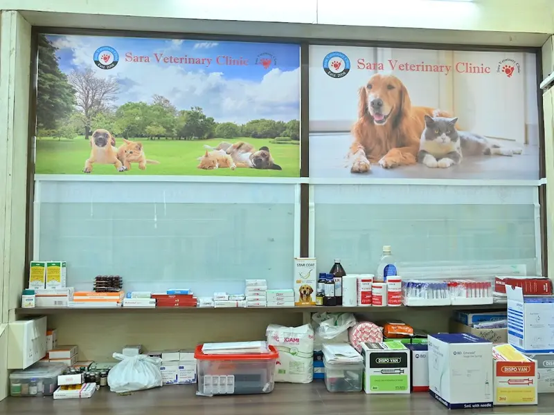 Sara veterinary Clinic, photo 4