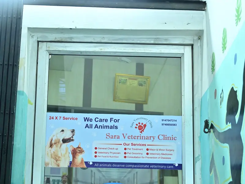 Sara veterinary Clinic, photo 5