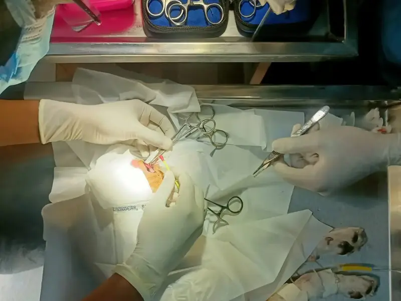 Dr Samim Aktar (Veterinary Doctor), photo 3