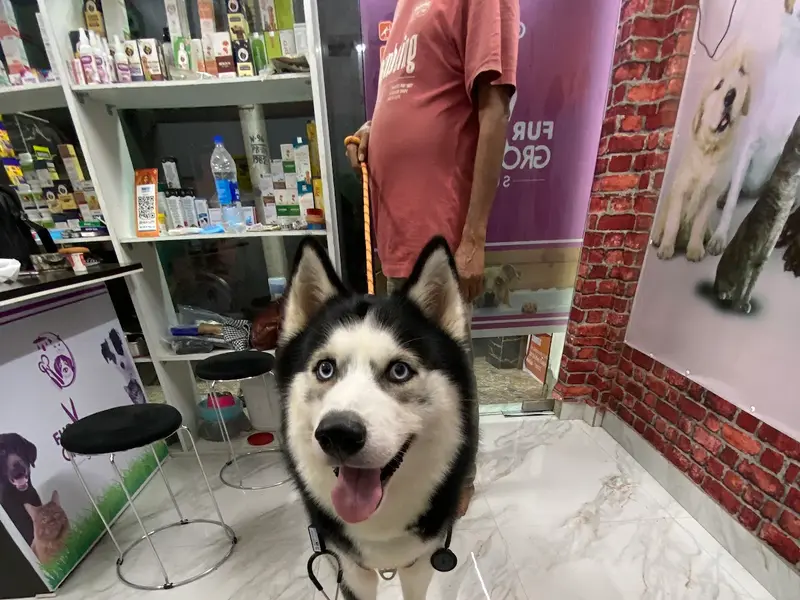FUR Grooming Studio, photo 5