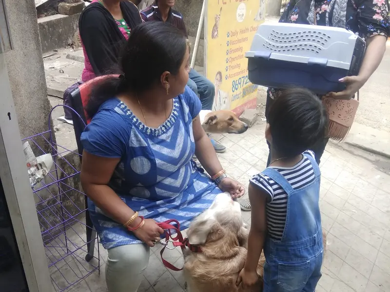 Stray Vet Clinic, photo 4
