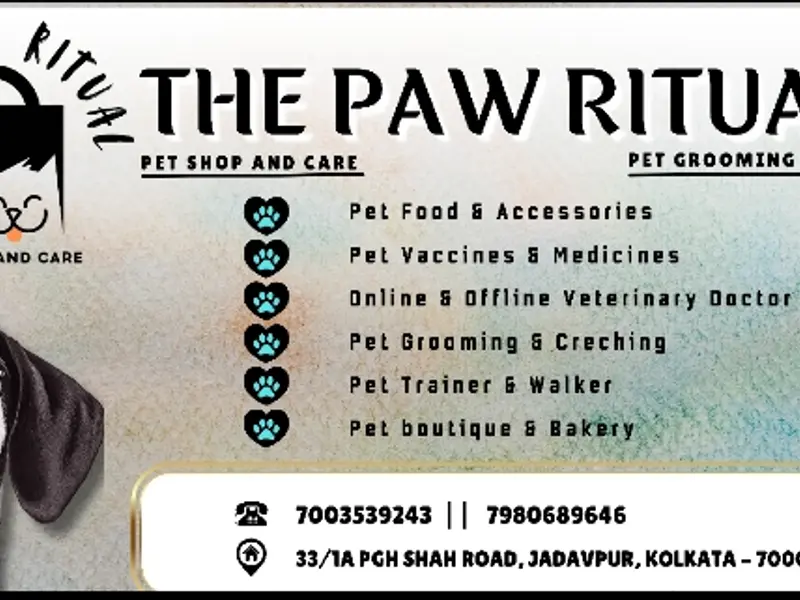 The Paw Ritual, photo 4