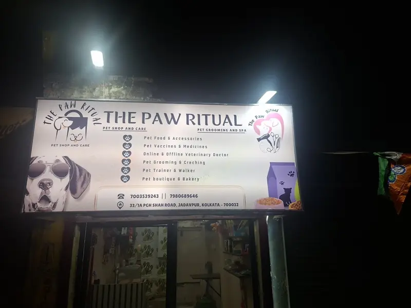 The Paw Ritual, photo 5