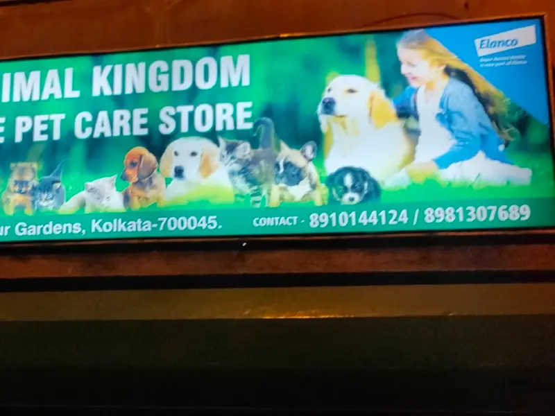 Animal Kingdom, photo 2