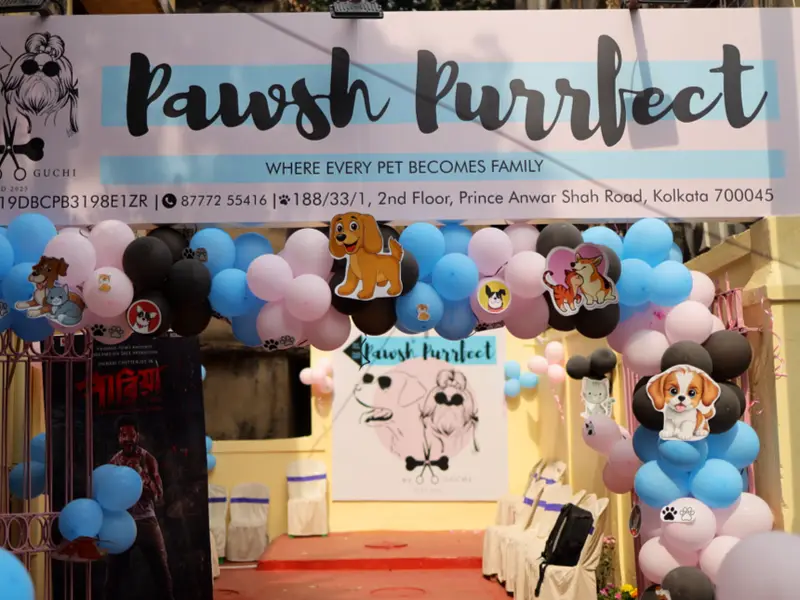 Pawsh Purrfect, photo 2