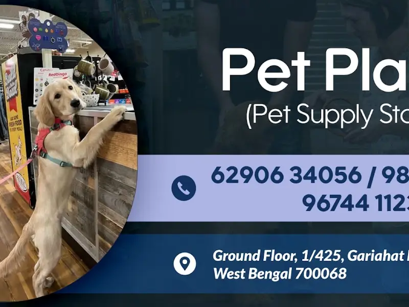 Pet Plaza, photo 2
