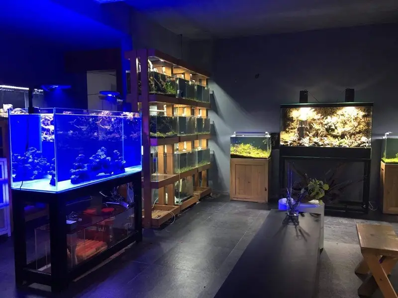 Aquariums India - Your trusted aquarium store since 2006, photo 2