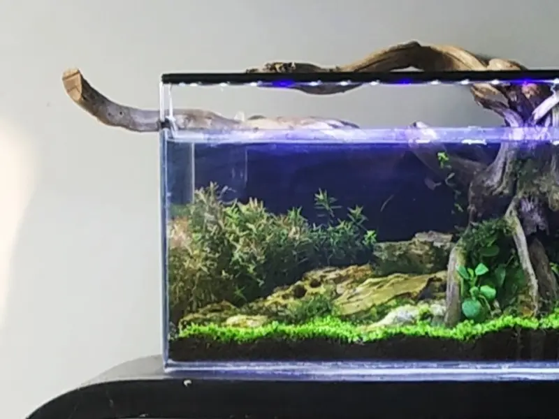 Aquariums India - Your trusted aquarium store since 2006, photo 3