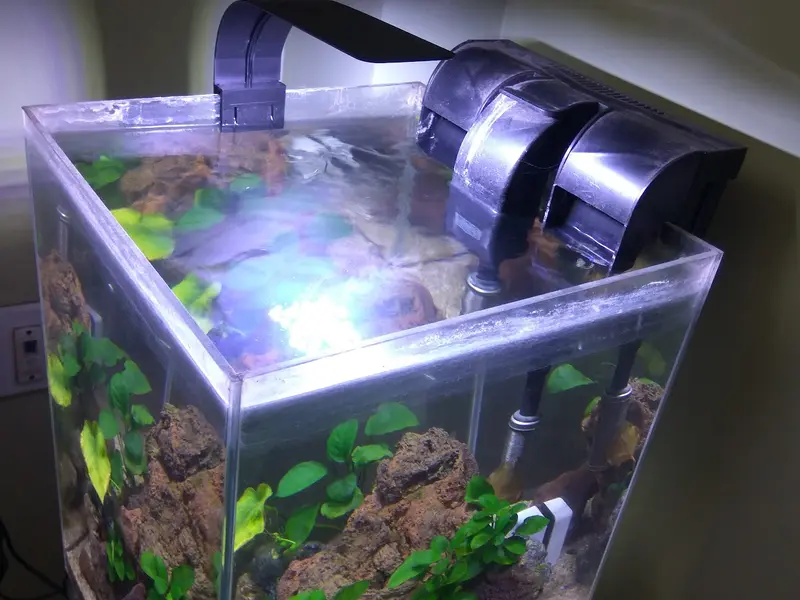 Aquariums India - Your trusted aquarium store since 2006, photo 4