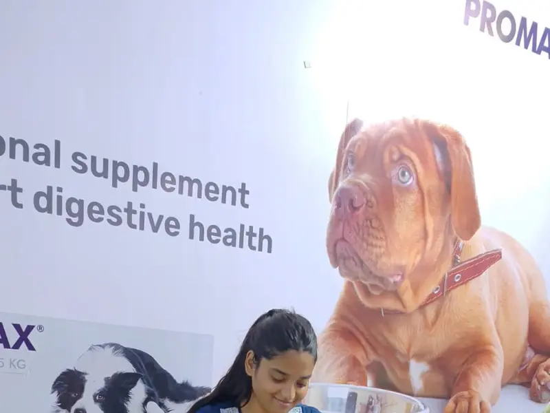 Furrnest Pet Clinic & Shop, photo 2