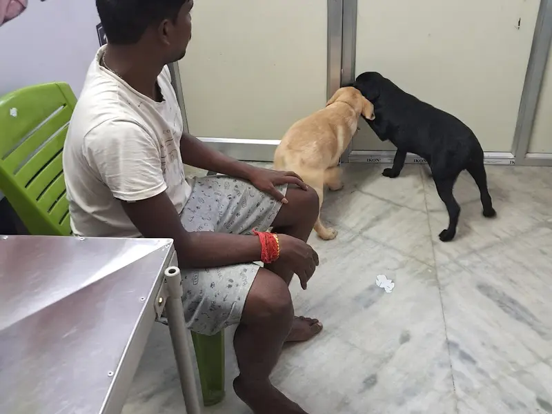 Furrnest Pet Clinic & Shop, photo 5