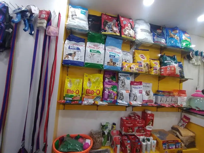 Krypto's Pet Shop, photo 2