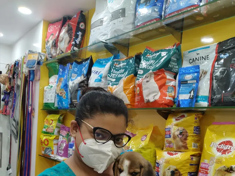 Krypto's Pet Shop, photo 3