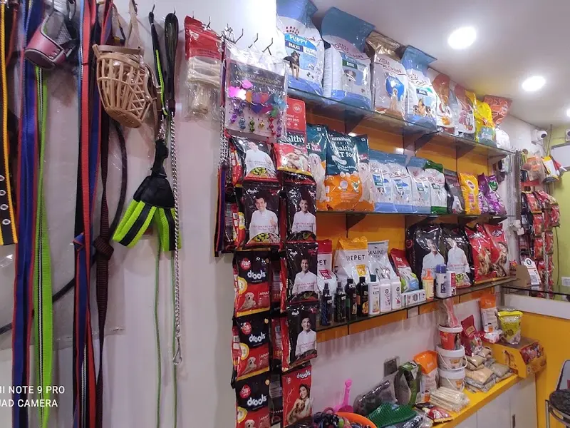 Krypto's Pet Shop, photo 4