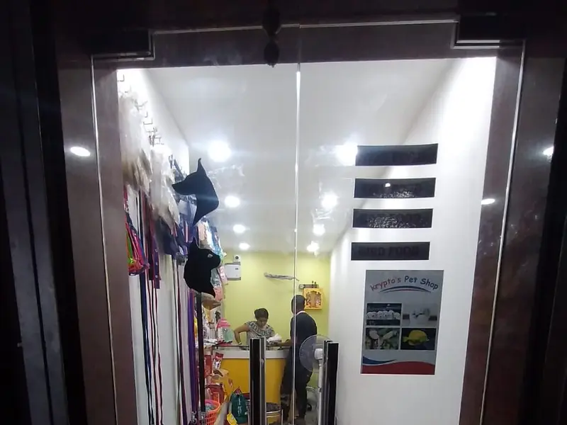 Krypto's Pet Shop
