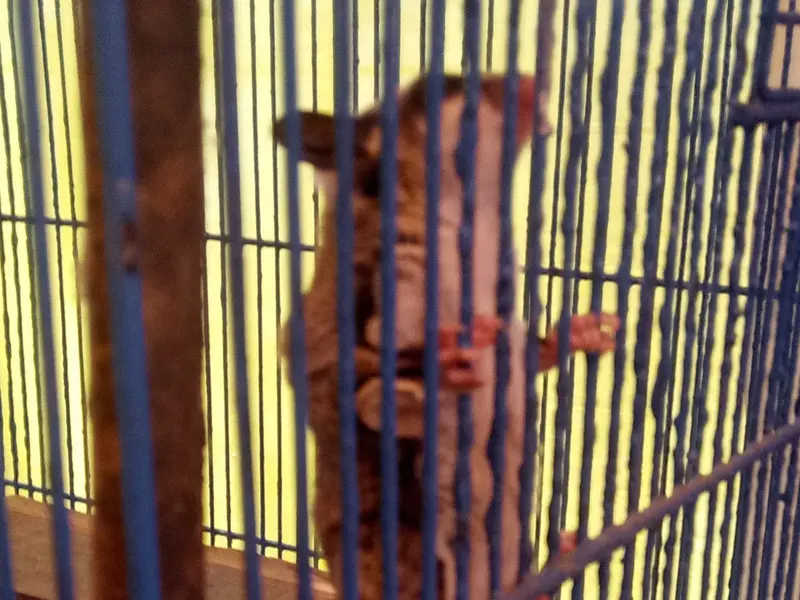 Love & Care Pet Clinic, photo 3