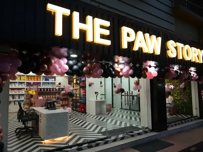 The Paw Story, photo 4