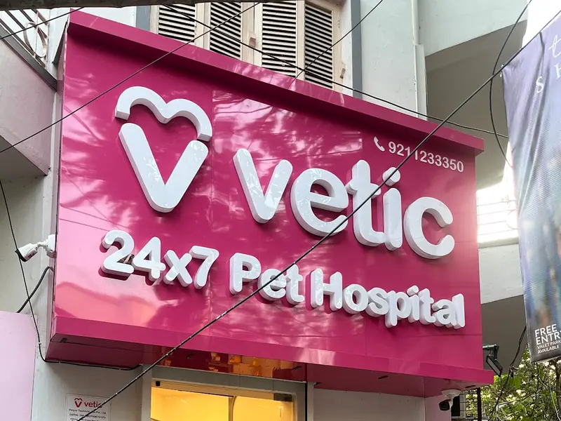 Vetic Pet Clinic Southern Avenue, photo 2