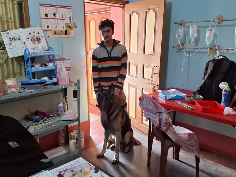Pet and Vet, photo 4