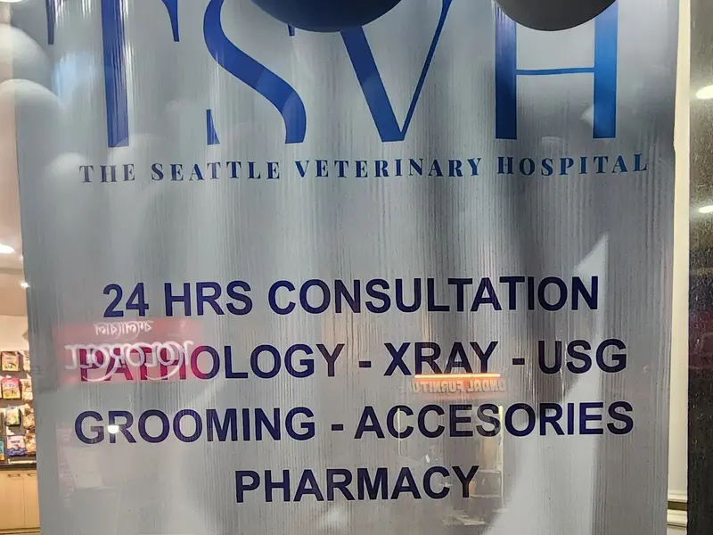 TSVH (The Seattle Veterinary Hospital) Lake Gardens, photo 5