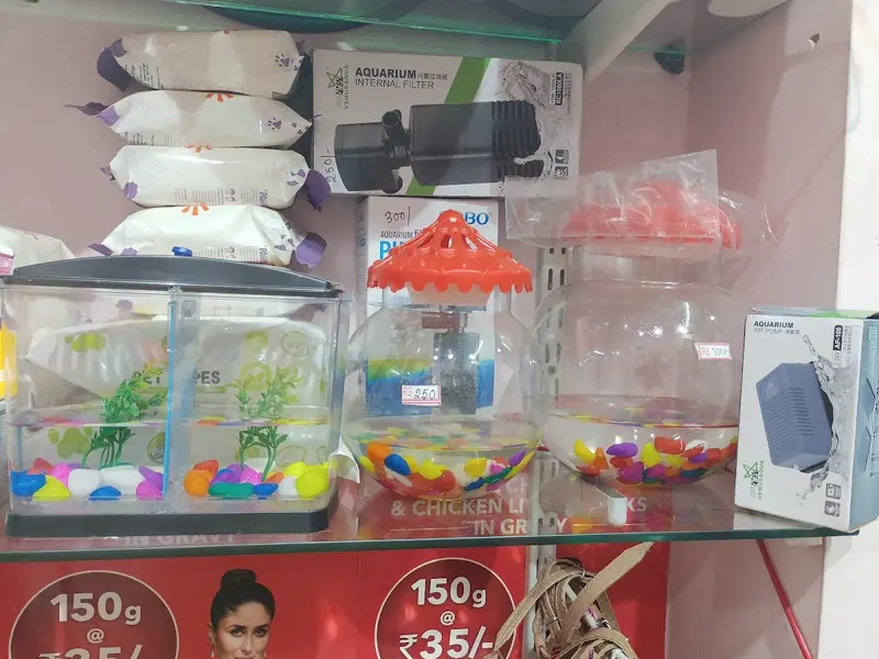 PET CARE HUB Bangur, photo 2