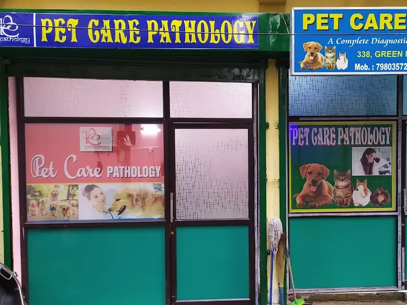 PET CARE PATHOLOGY, photo 2