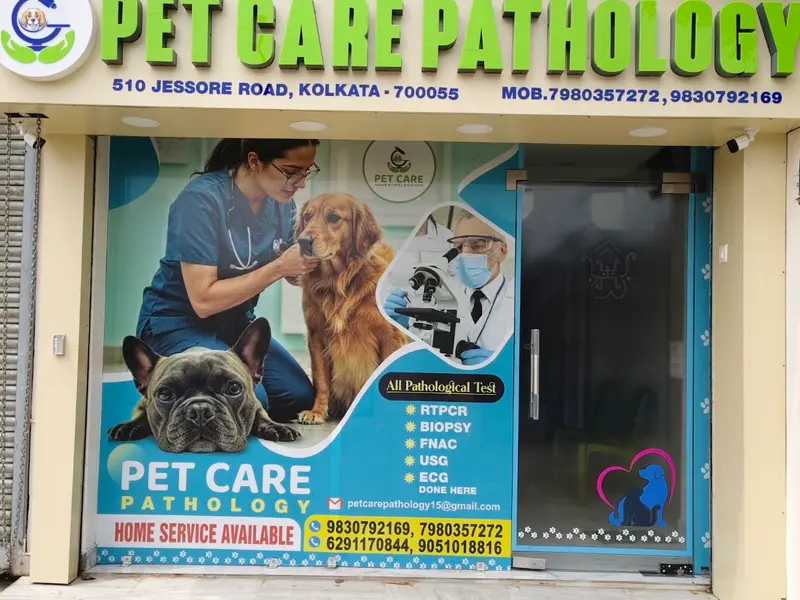 PET CARE PATHOLOGY, photo 3