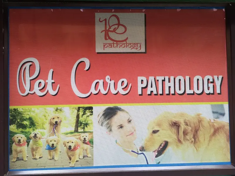 PET CARE PATHOLOGY, photo 5