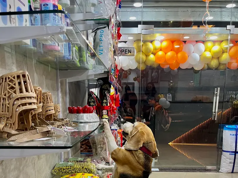 Pet Joy Grooming and Veterinary Clinic, photo 2