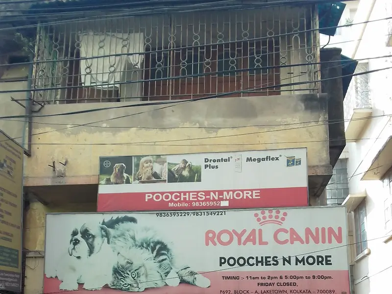 Pooches N More, photo 3