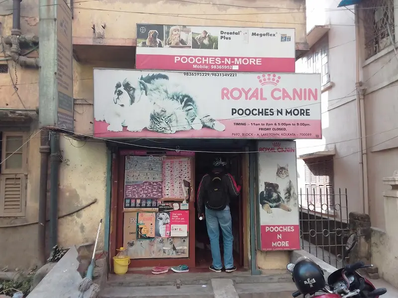 Pooches N More, photo 5
