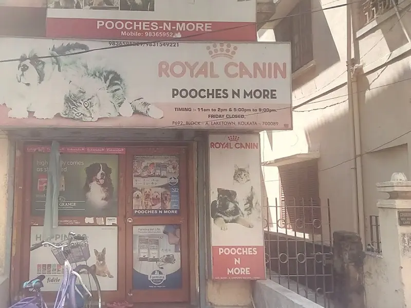 Pooches N More