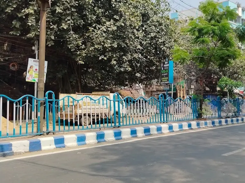 Vetnova, photo 5