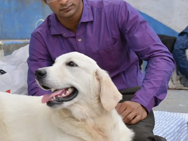 Dark Knights K9 (Hitesh Gandhi), photo 3