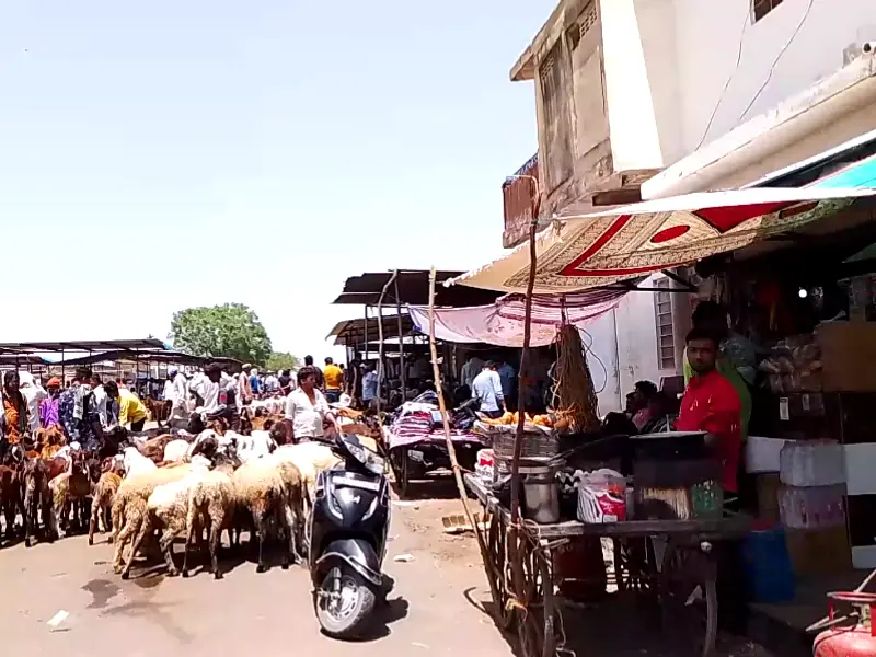 Asia Bakri Mandi, photo 3