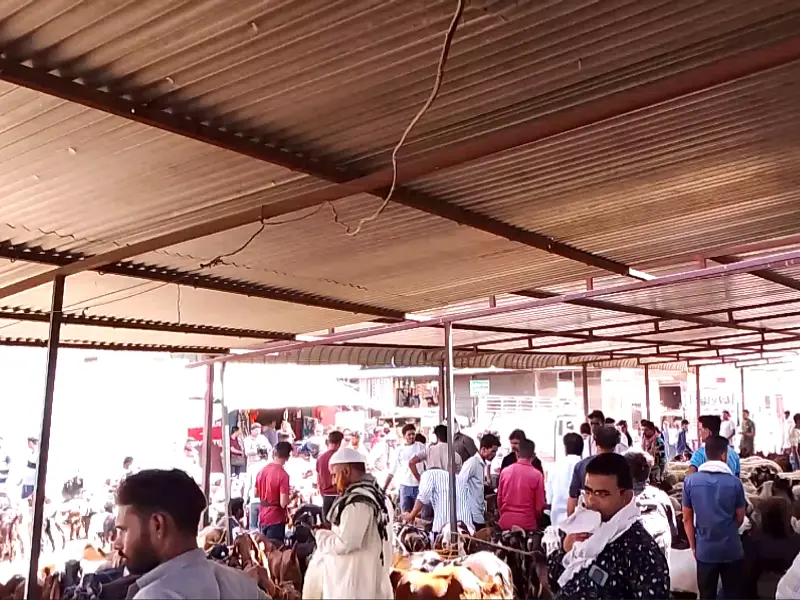 Asia Bakri Mandi, photo 4