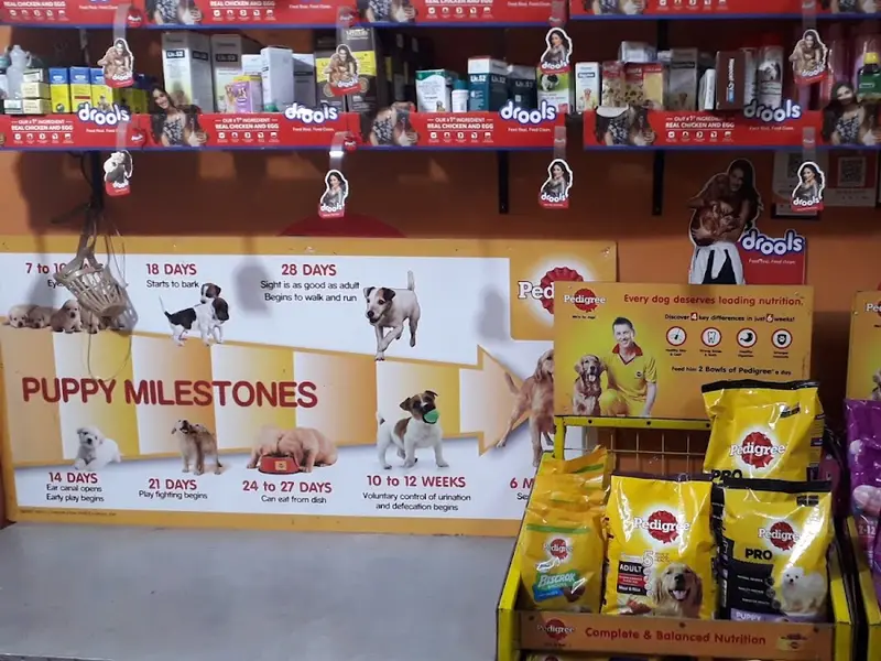 Pet Care, photo 4