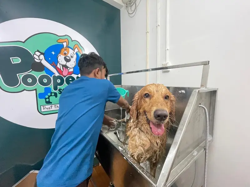 Poopers & Scoopers Pet Hospital - Best Pet Hospital in Kolkata, photo 3