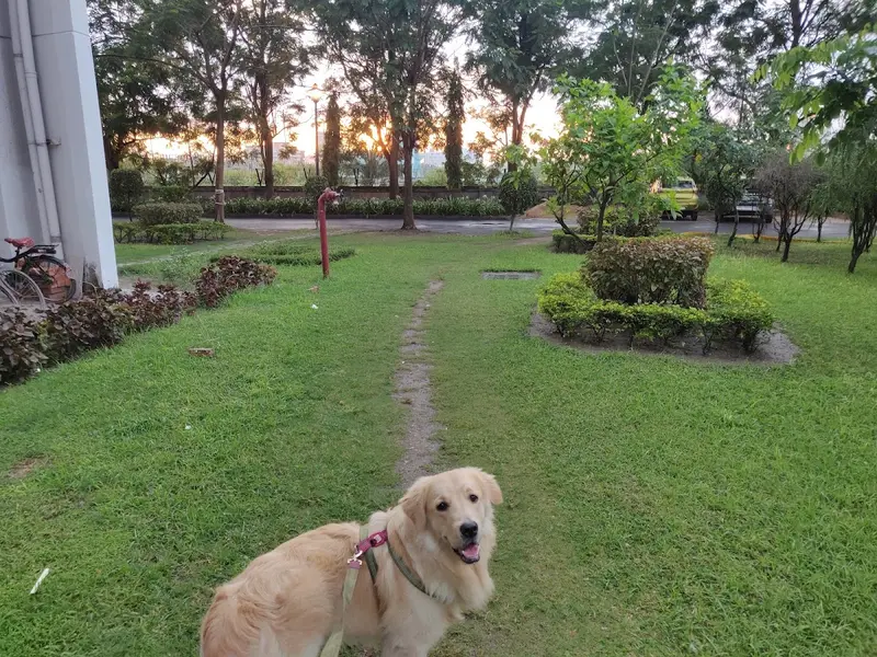 Poopers & Scoopers Pet Hospital - Best Pet Hospital in Kolkata, photo 5