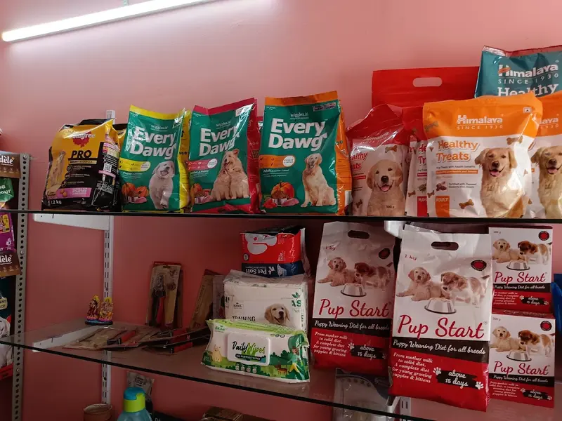 Satyam's Pets For Life, photo 5