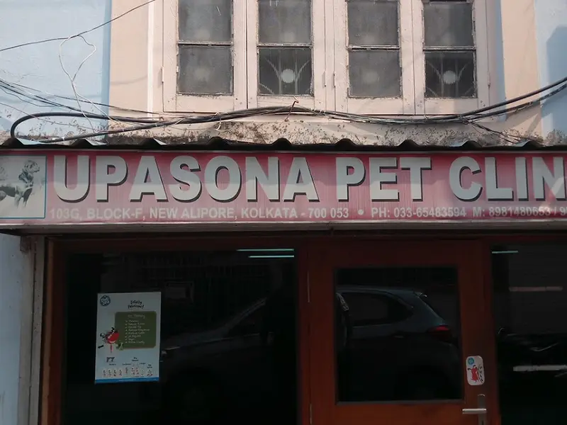 Upasona Pet Clinic Cum Shop, photo 4