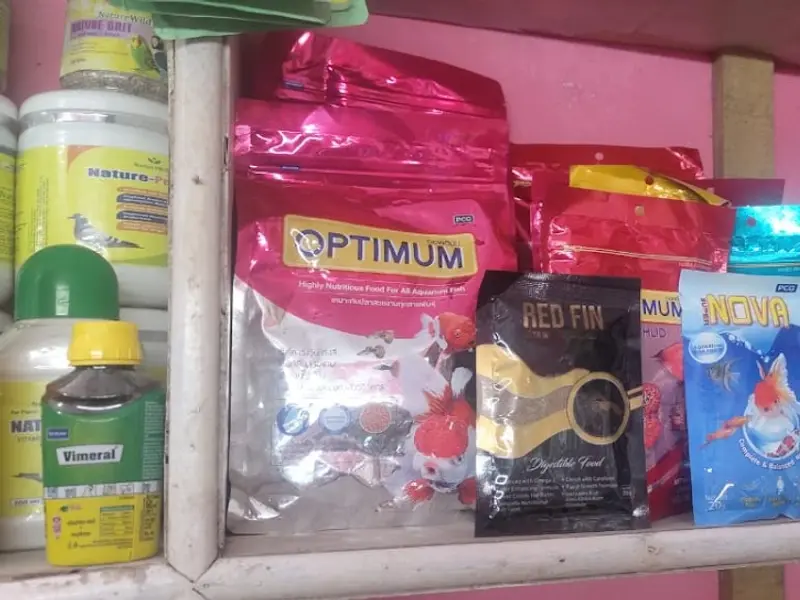 EXCLUSIVE SOLUTION (PET HUB ), photo 3