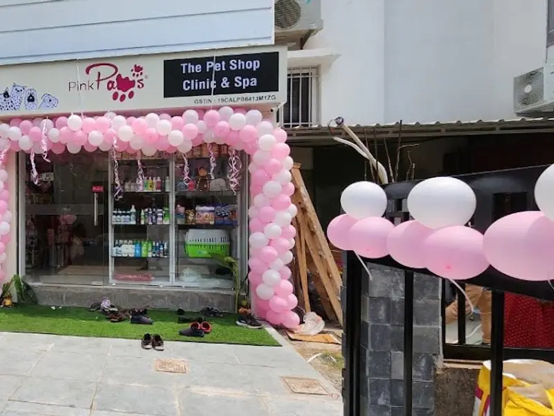 Pink Paws Newtown : Pet Grooming Services in Newtown | Best Pet Clinic | Pet Shop | Pet Salon | Pet Food Supplies, photo 4